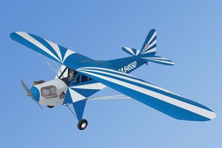 World Models CLIPPED WING  CUB 1/5 Scale (Blue) 61 ART